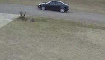 Need Help Identifying Porch Thief on Kingsland Road in Hawkinsville GA