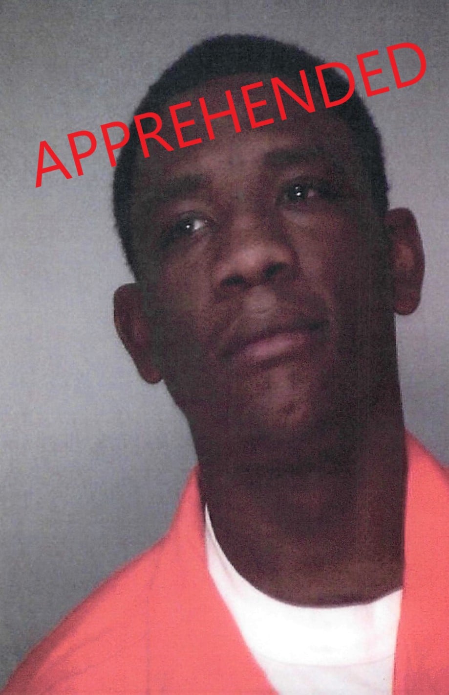 Raines, Reginald T. Jr. mugshot