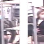 publics assistance to identify two Hispanic females