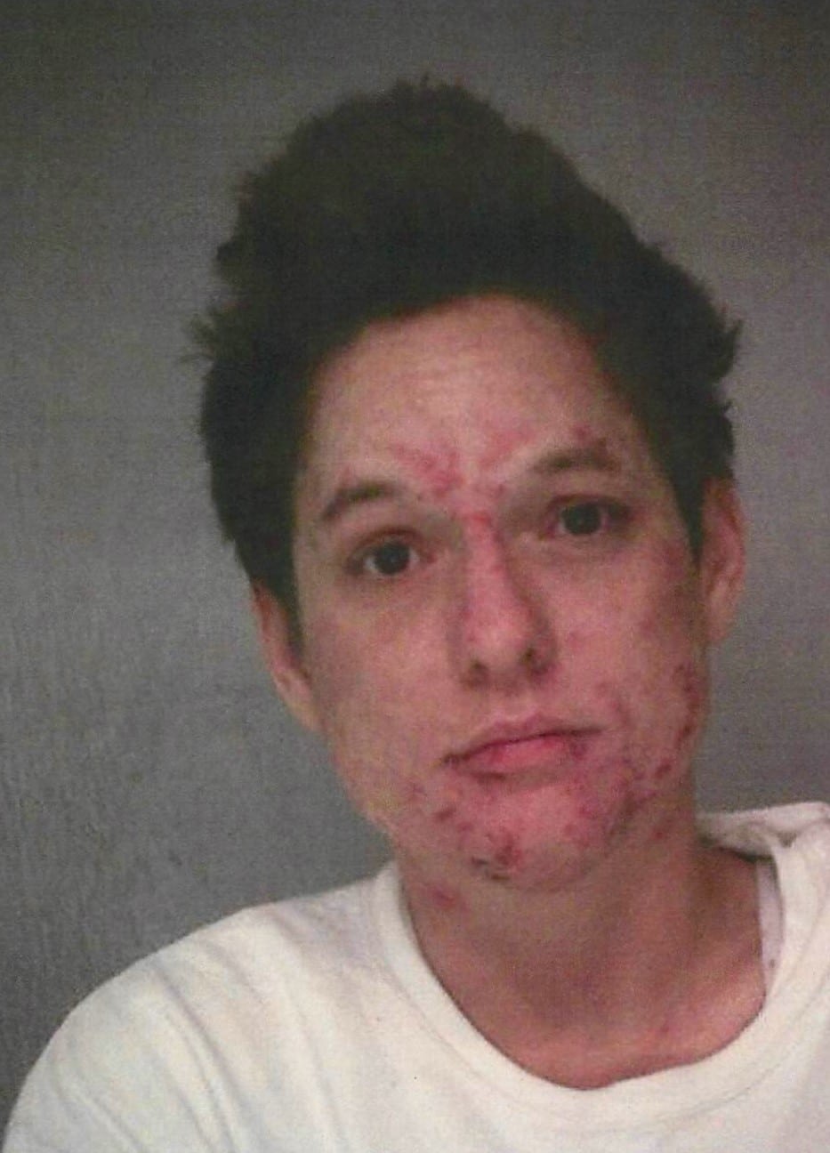 Veal, April E. mugshot
