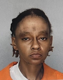 Pitts, Jamie L. mugshot