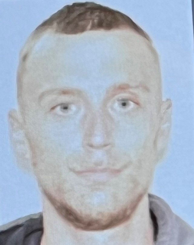 Johnston, Dustin L. mugshot