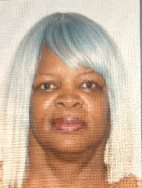 White, Debbie mugshot