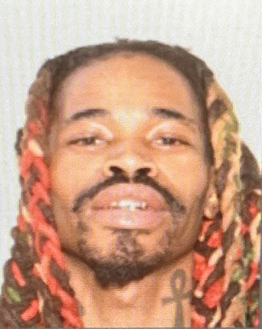 Freeman, Devin mugshot