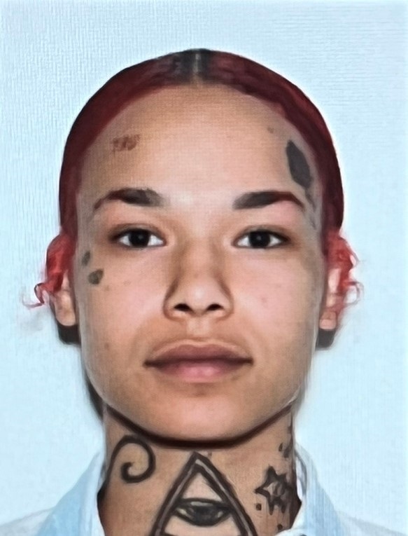 Valentine, Nikita J. mugshot