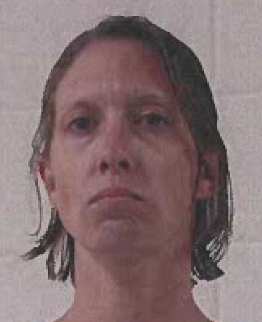 Reynolds, Traci A. mugshot
