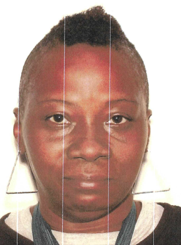 Robinson, Allison N. mugshot