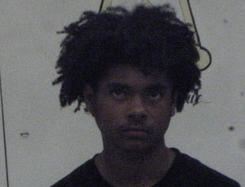 Johnson, Cedric A. Jr. mugshot