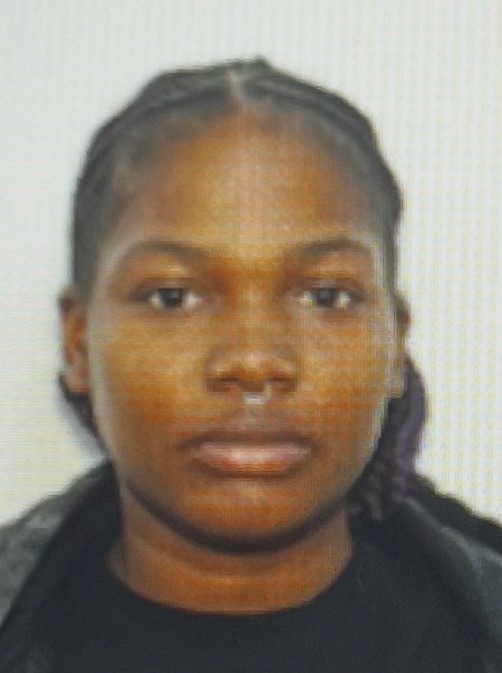 Barbee, Ericka L. mugshot