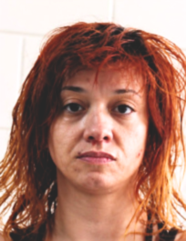 Kaufman, Heather E. mugshot